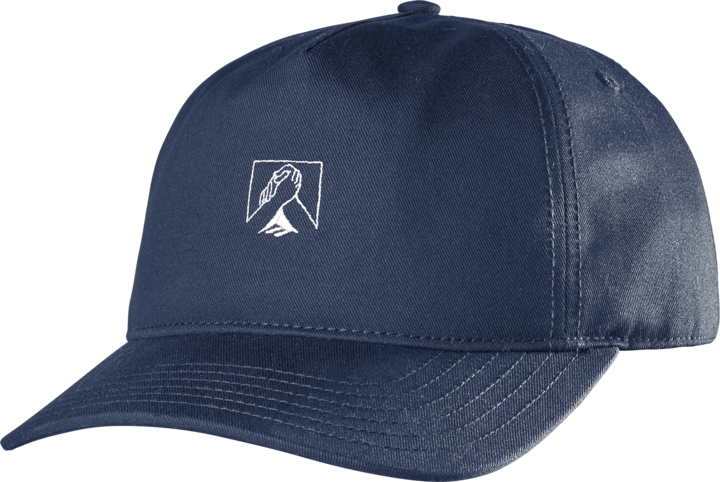 spanky handshake clipback hat - headwear - navy - emerica