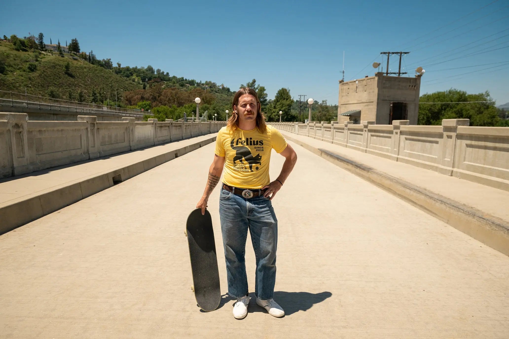 Dickson   | Emerica Skateboarding Skate