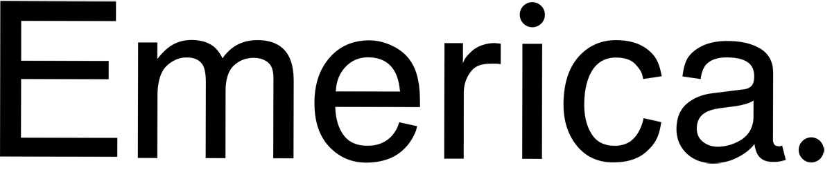 EMERICA PURE DECAL STICKER