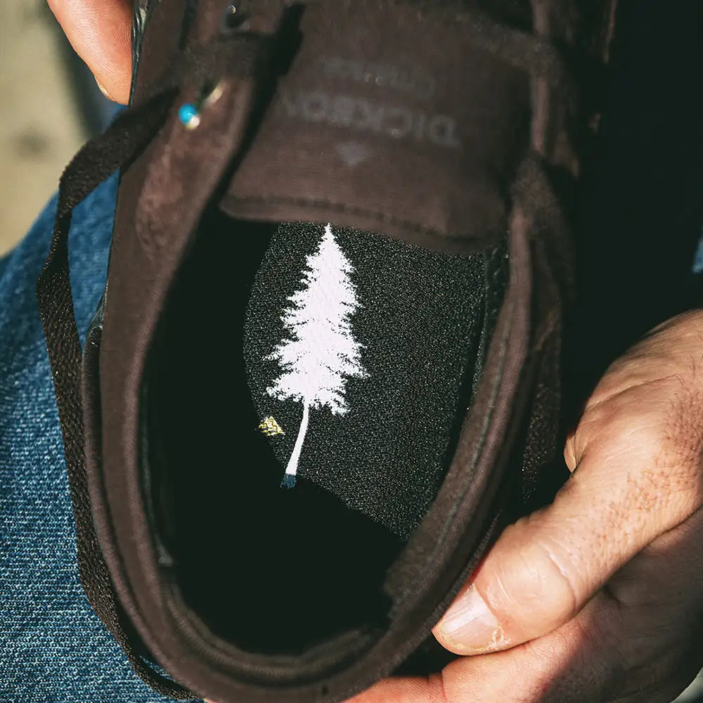 Emerica Low-Top Vulcanized Dickson