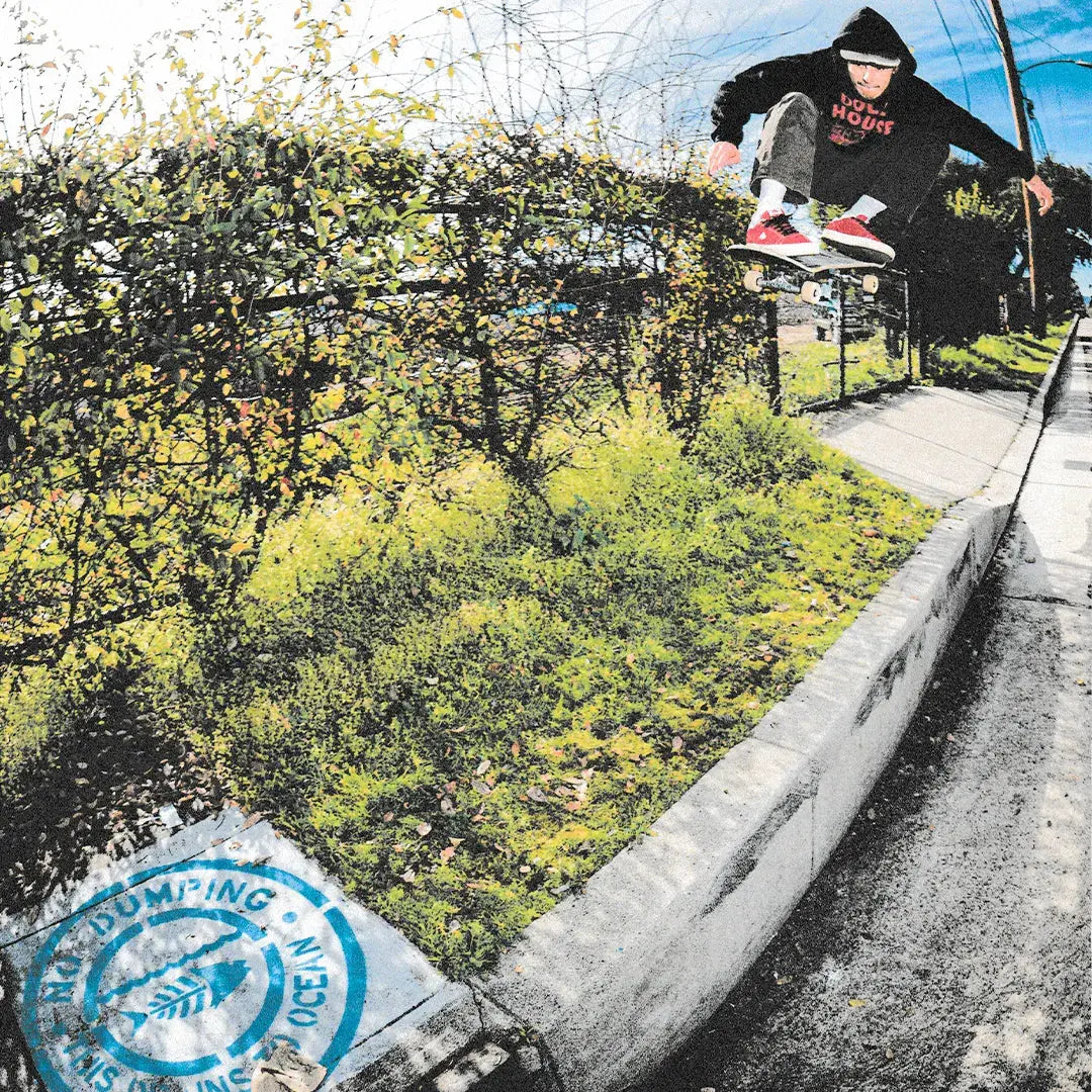 Emerica Low-Top Shoe Moca