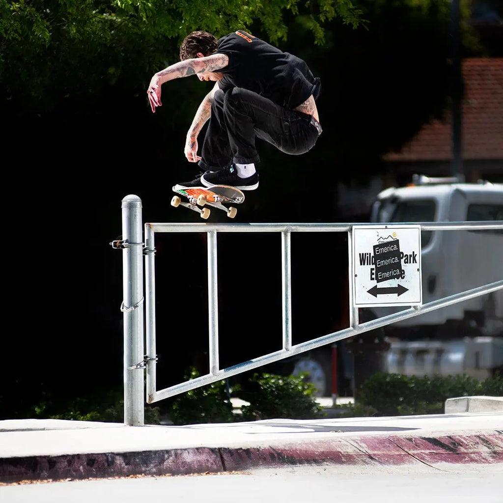 Emerica Low-Top Shoe Provost G6