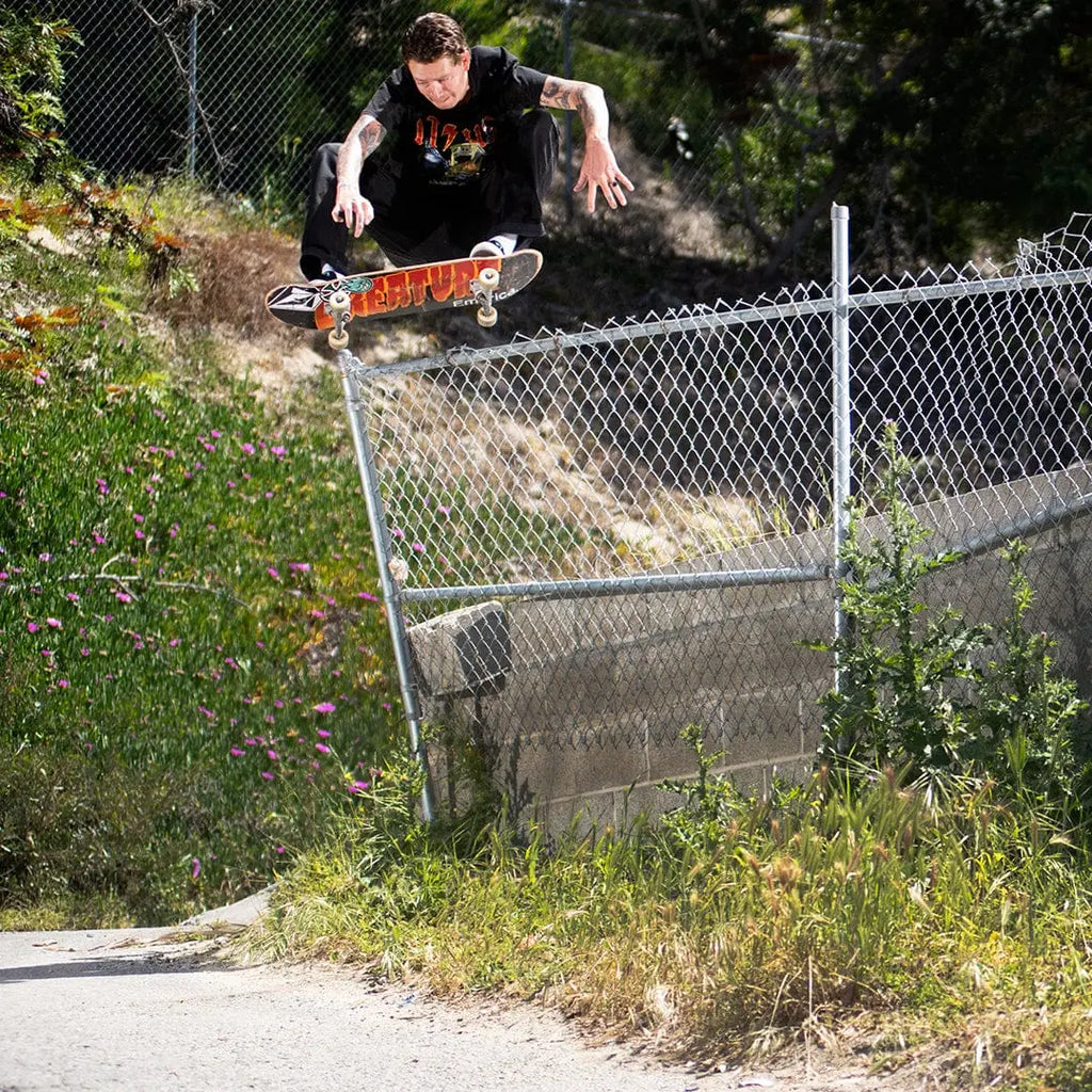 Emerica Low-Top Shoe Provost G6