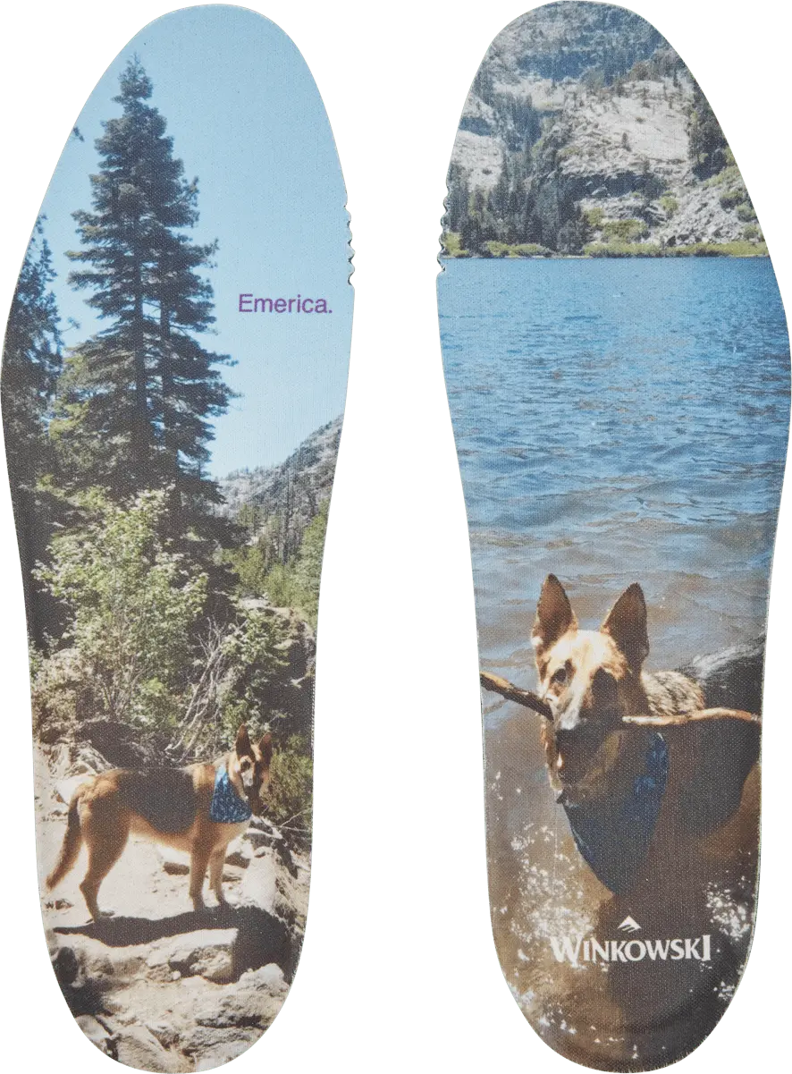 Emerica Low-Top Vulcanized Winkowski