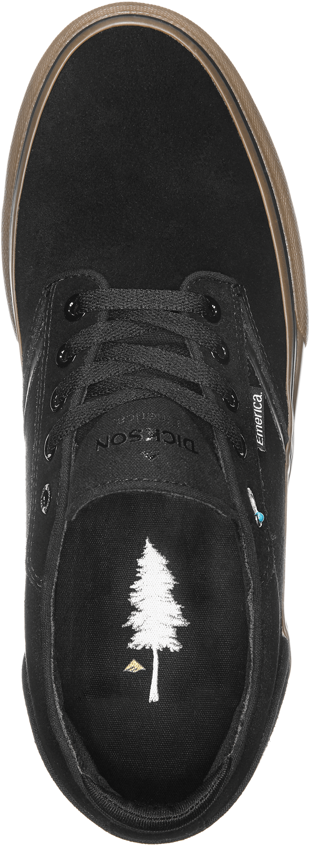 Emerica Low-Top Vulcanized DICKSON