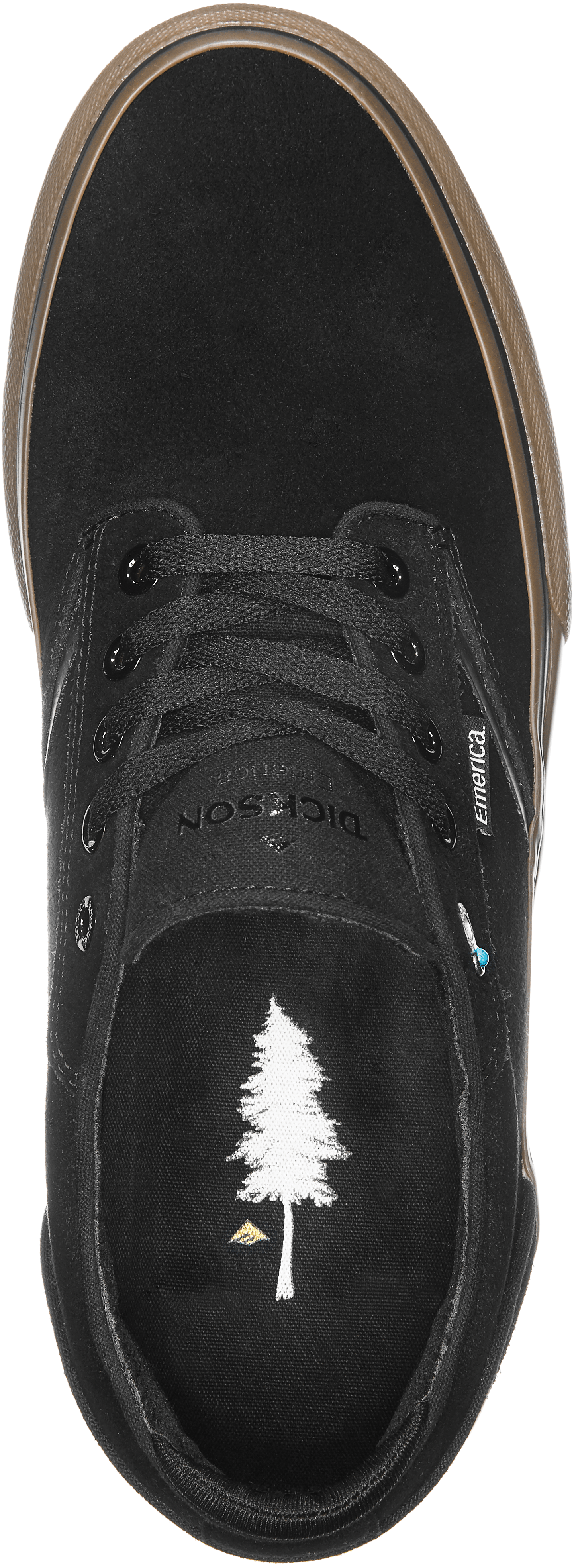Emerica Low-Top Vulcanized DICKSON